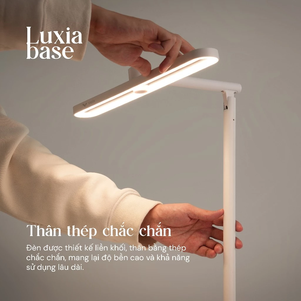 Velix Luxia Base 7 Velix Luxia Base - Ảnh 7
